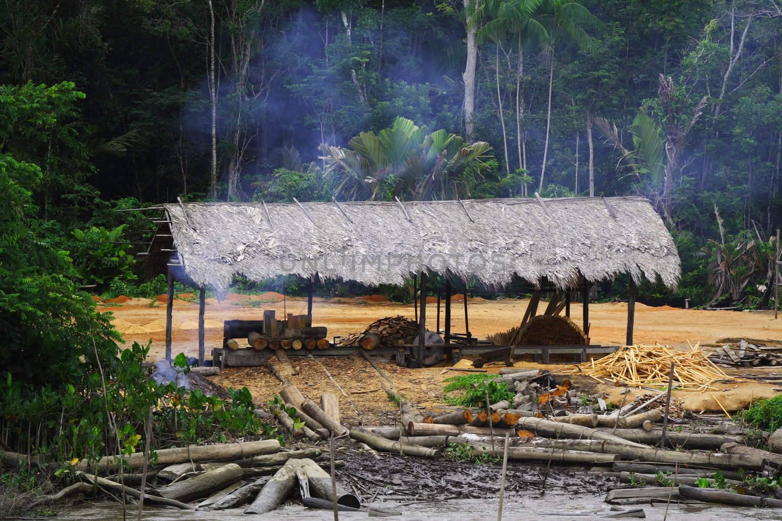 This hut was found on the edge of the Amazon river and is used as a storage and processing place for cutting down the trees!