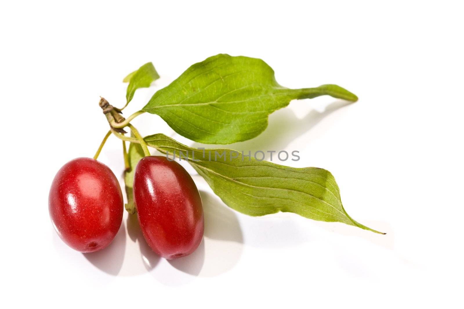 Cornelian cherries over white background with liaves