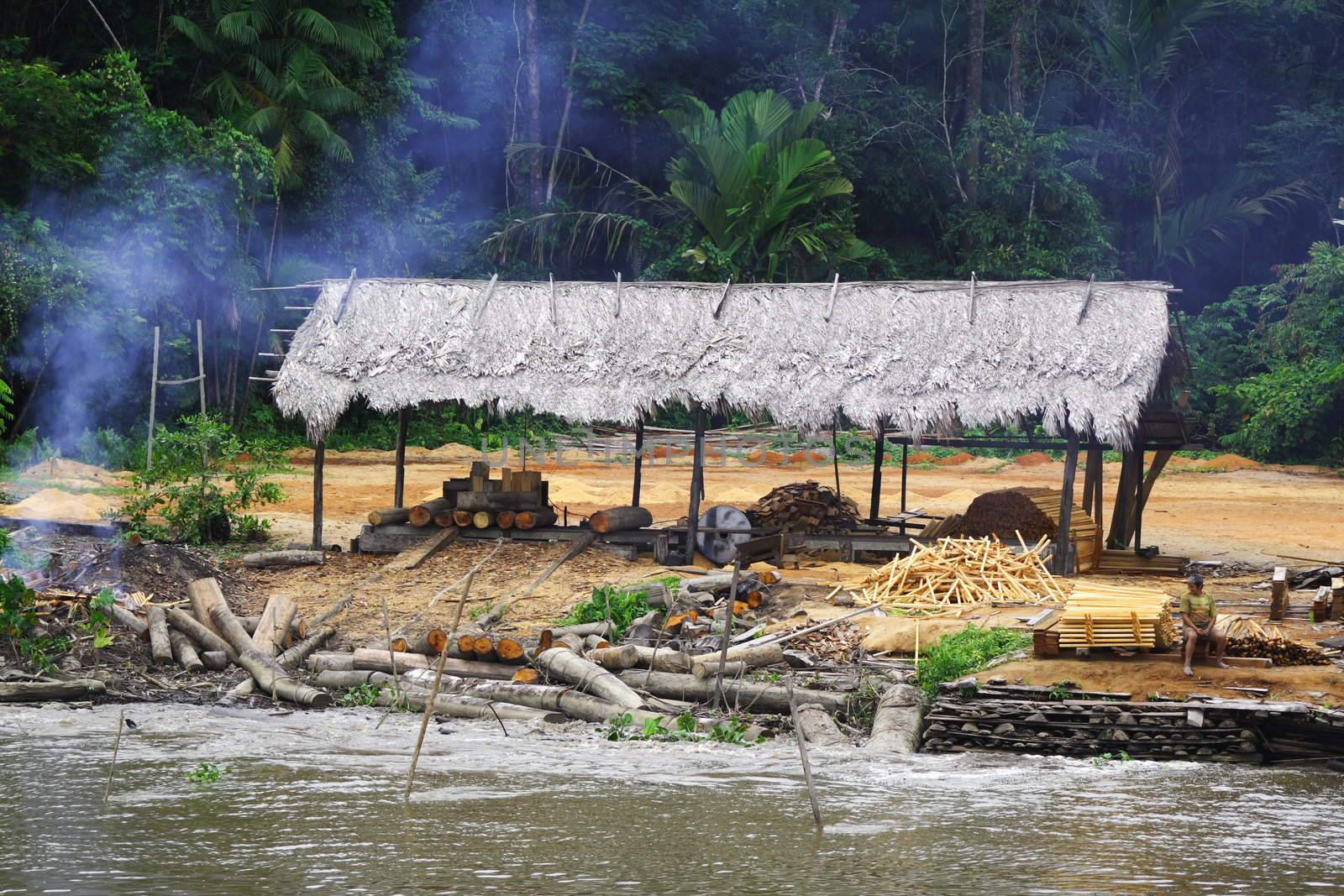 This hut was found on the edge of the Amazon river and is used as a storage and processing place for cutting down the trees!