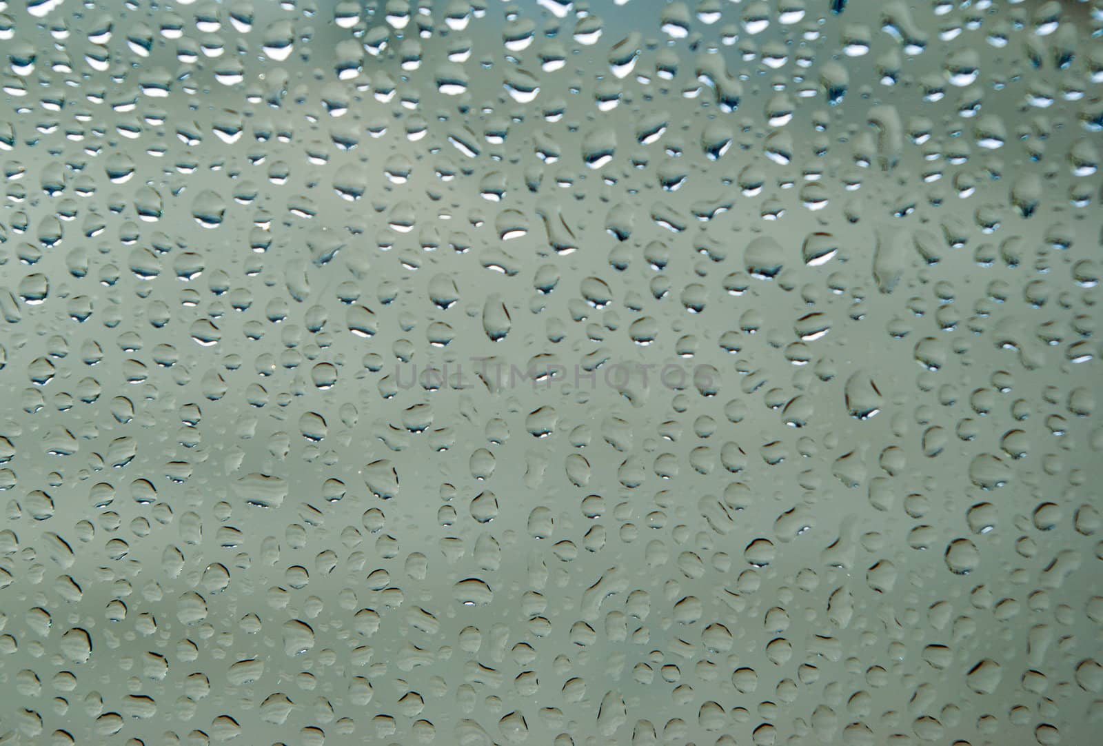 rain drops on glass textured background,Close-up