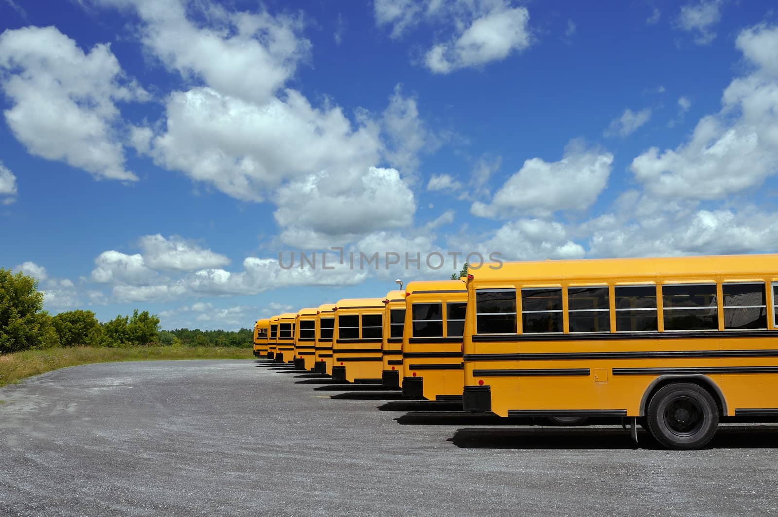 School buses by Hbak