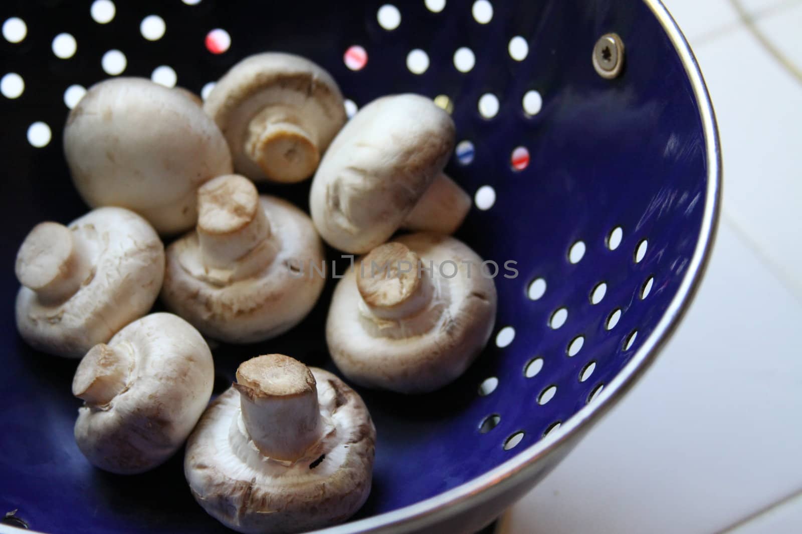 Close up of the mushrooms on a plate.