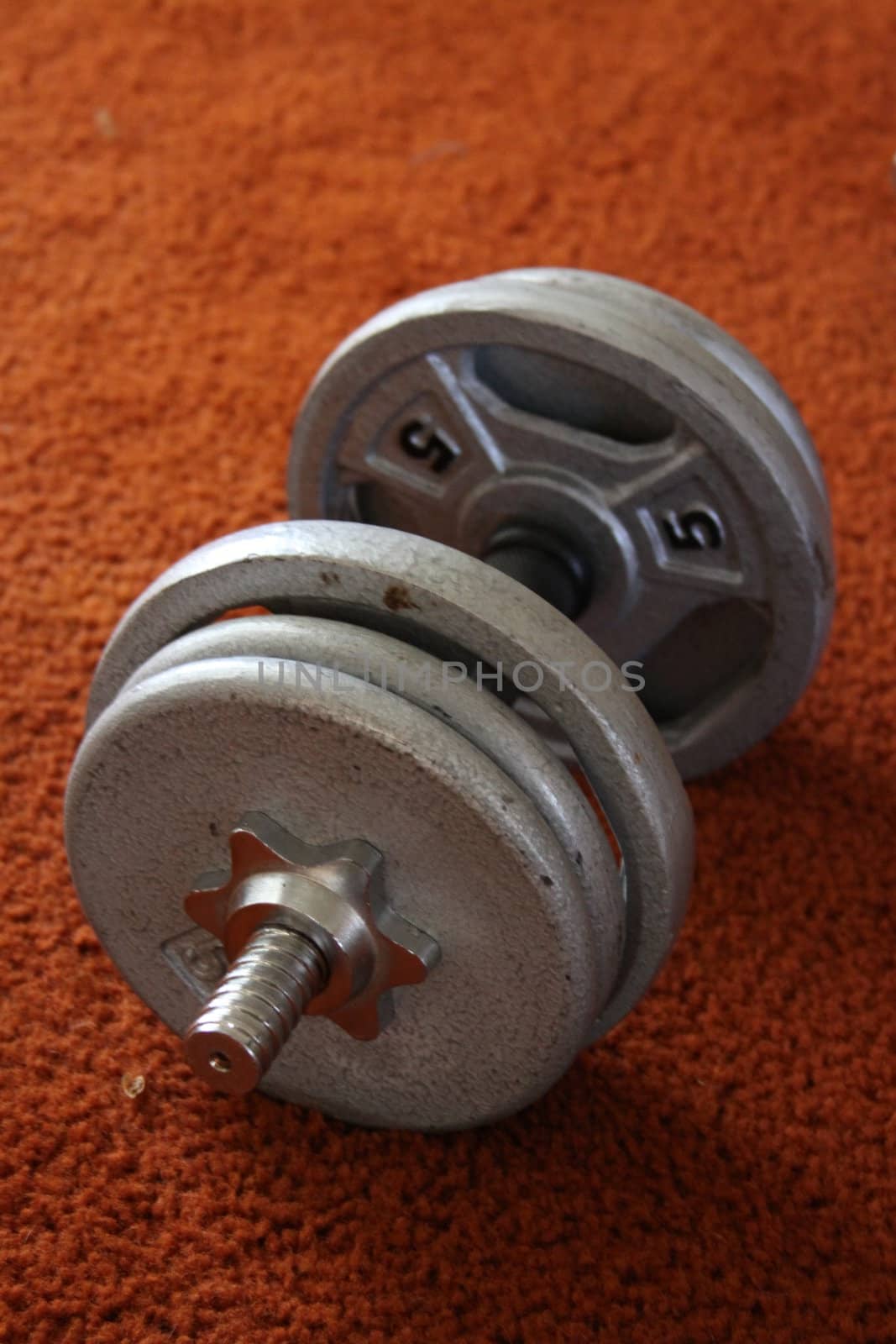 Close up of a Dumbell on a floor.