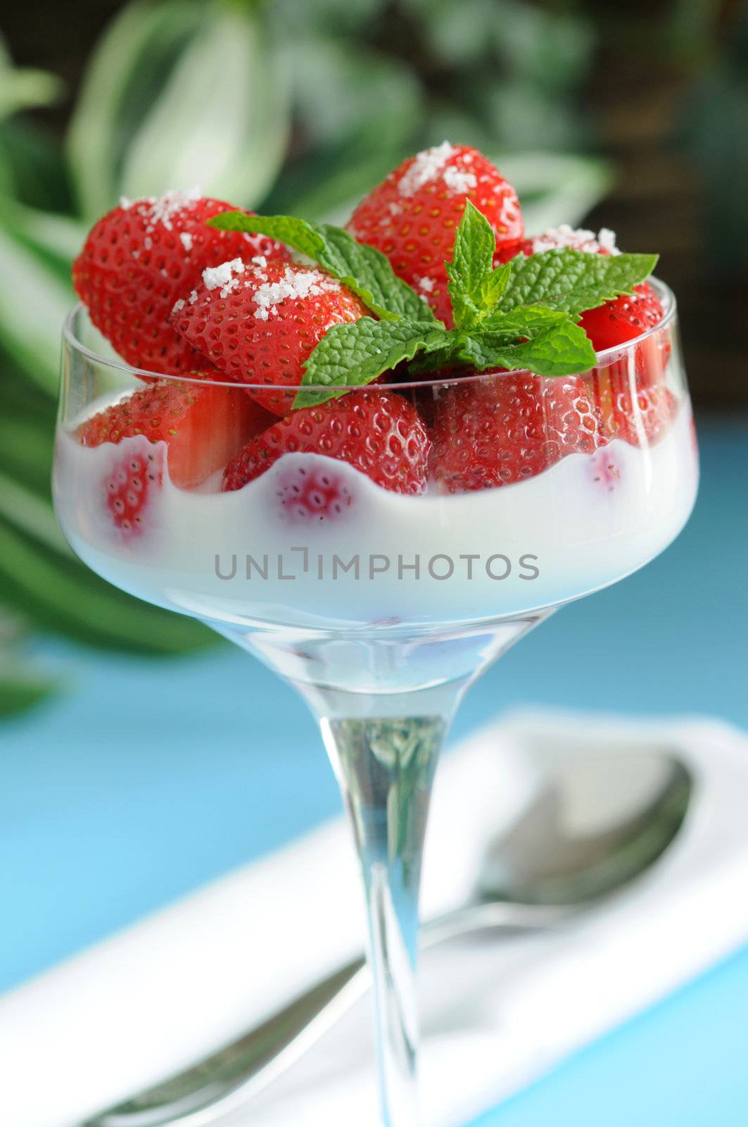 Fresh Strawberries and Cream by billberryphotography