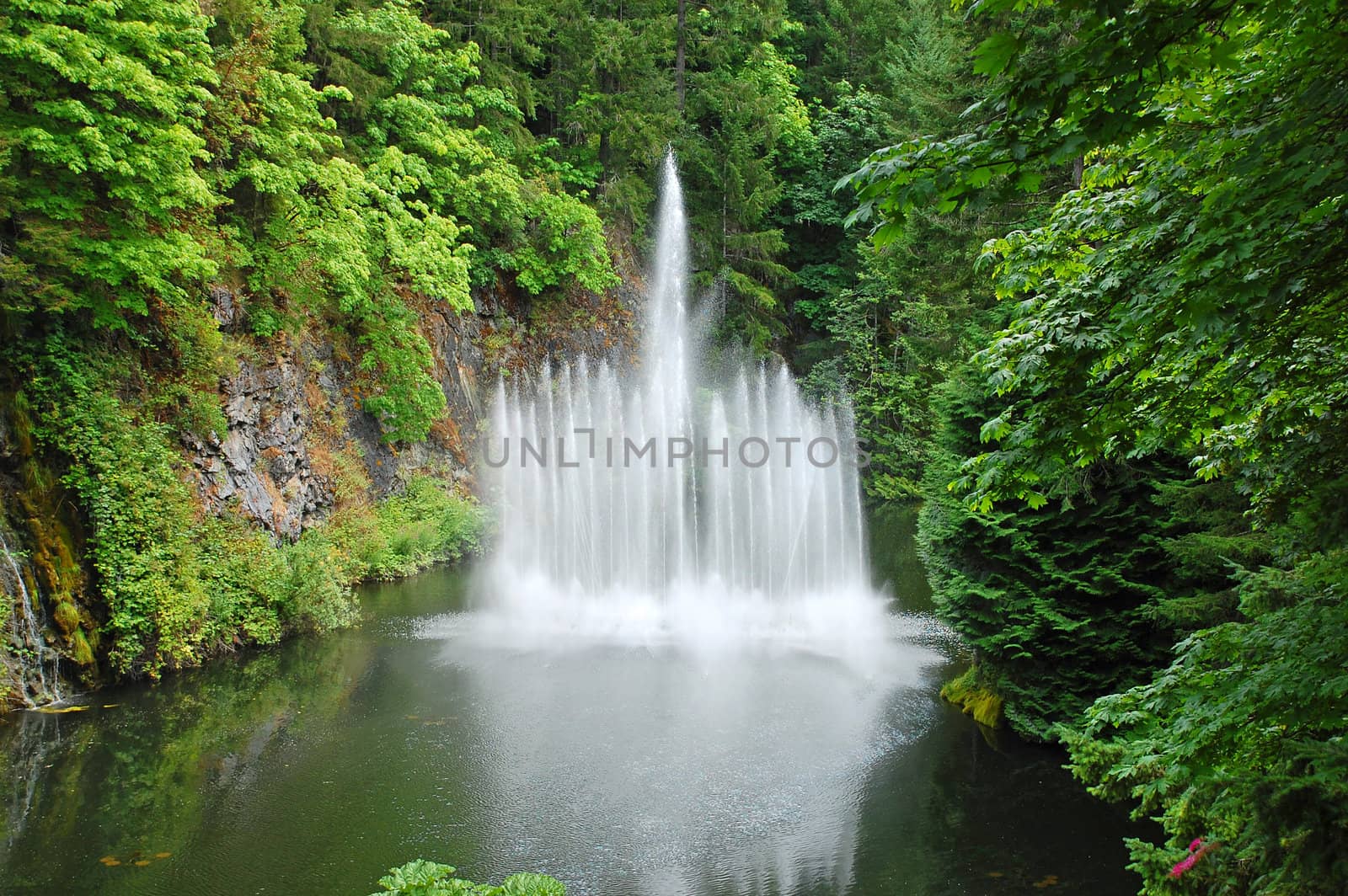 Spraying water fountain in lush green botanical park