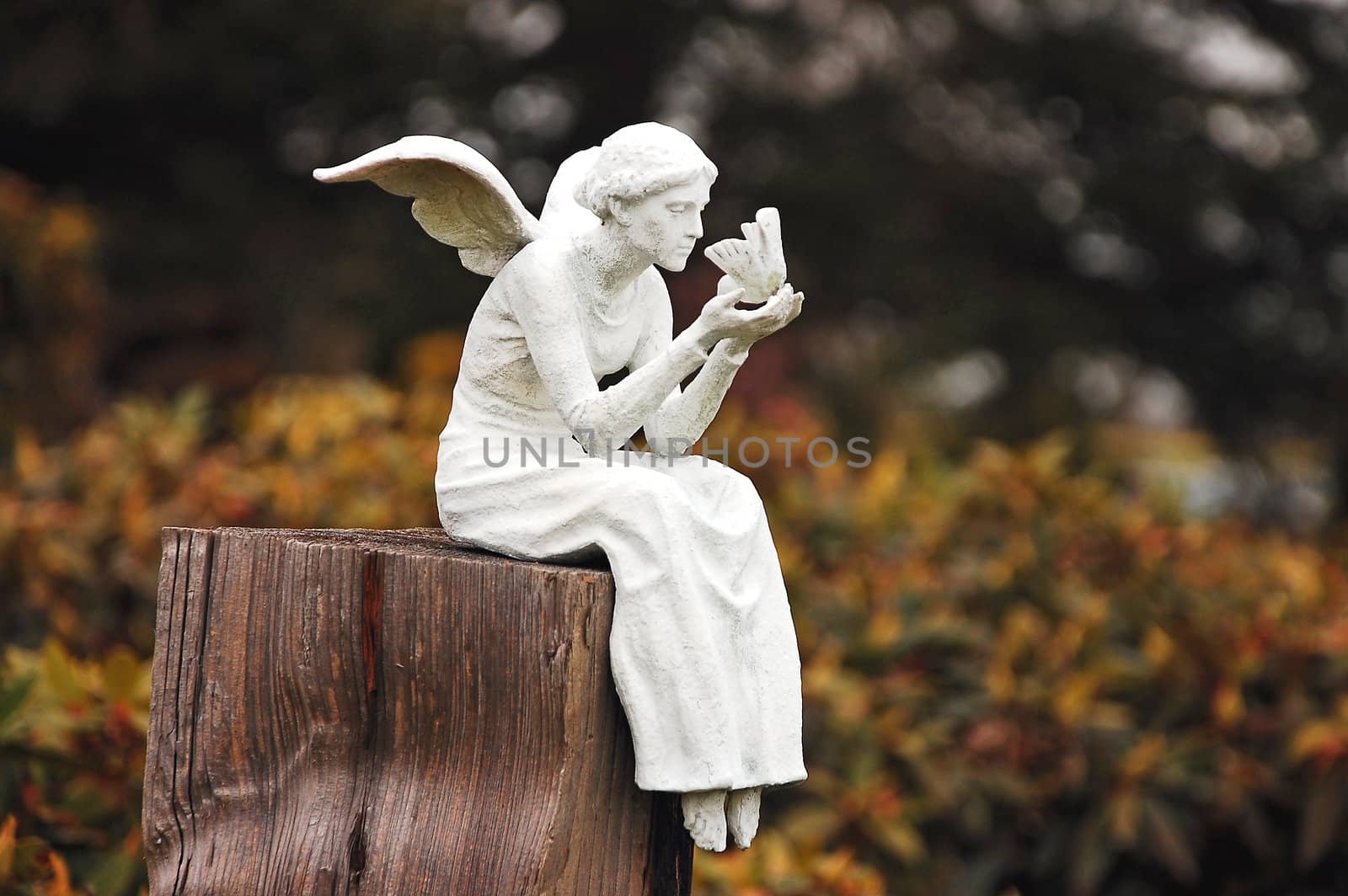 White garden fairy sitting on fence