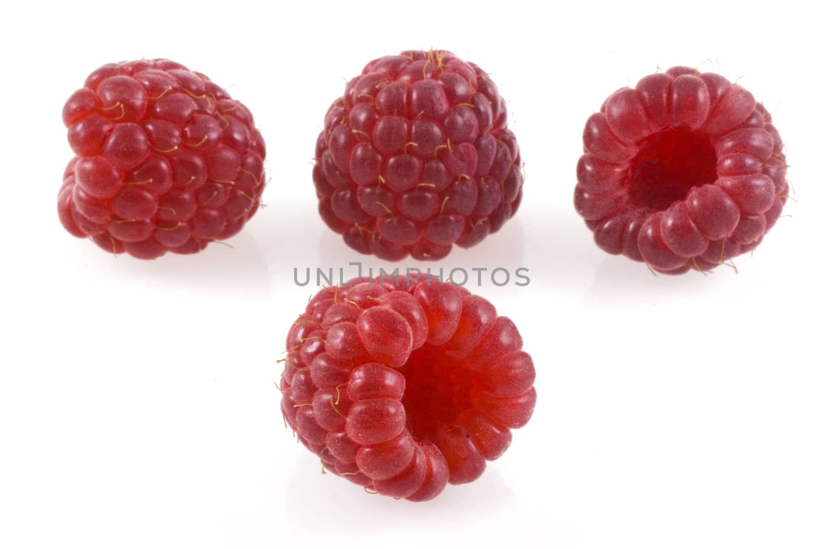 Four raspberries on white, one in the front and four in the back.