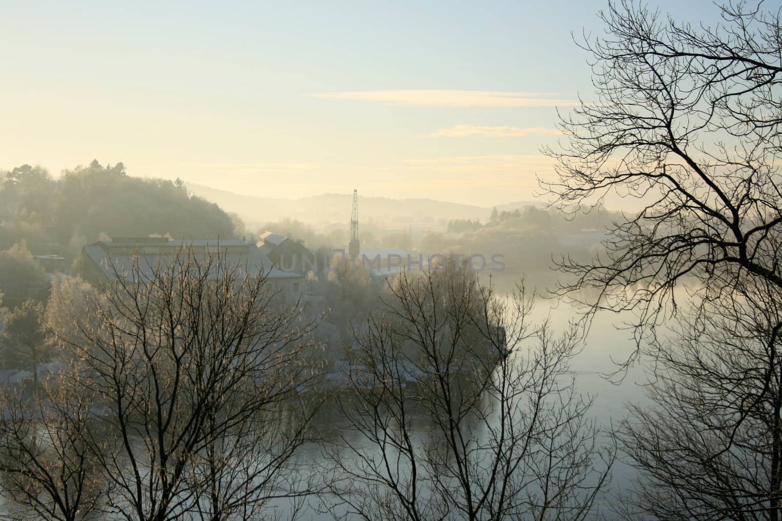 Foggy landscape overlooking a river with trees in the front