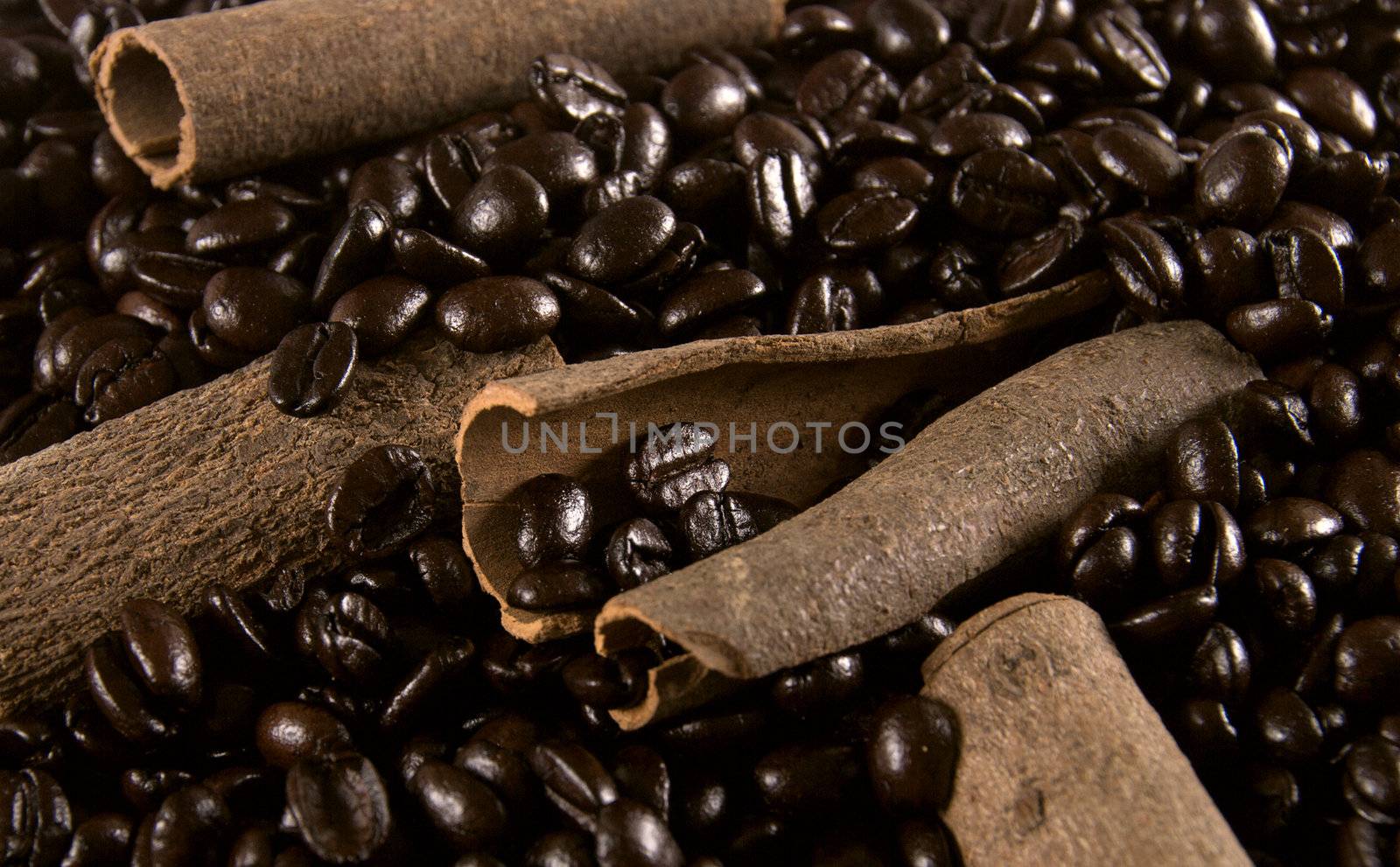 Natural cinnamon sticks in coffee beans