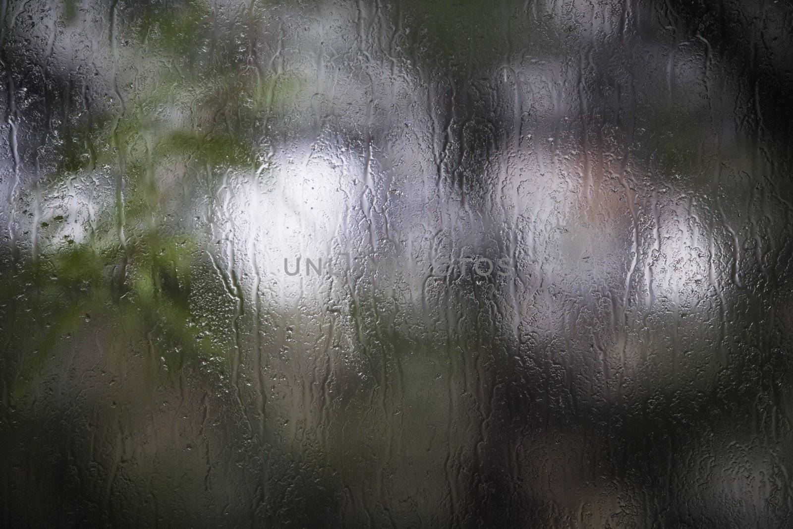 Rain streaked window looking out to foliage