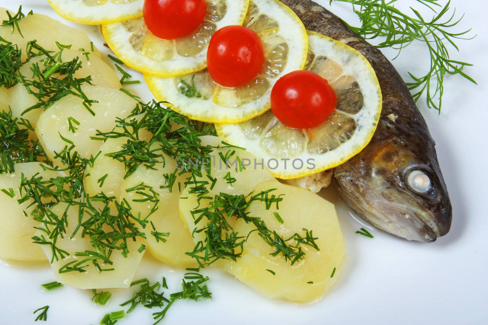 Fish with potatoes and spices on a plate