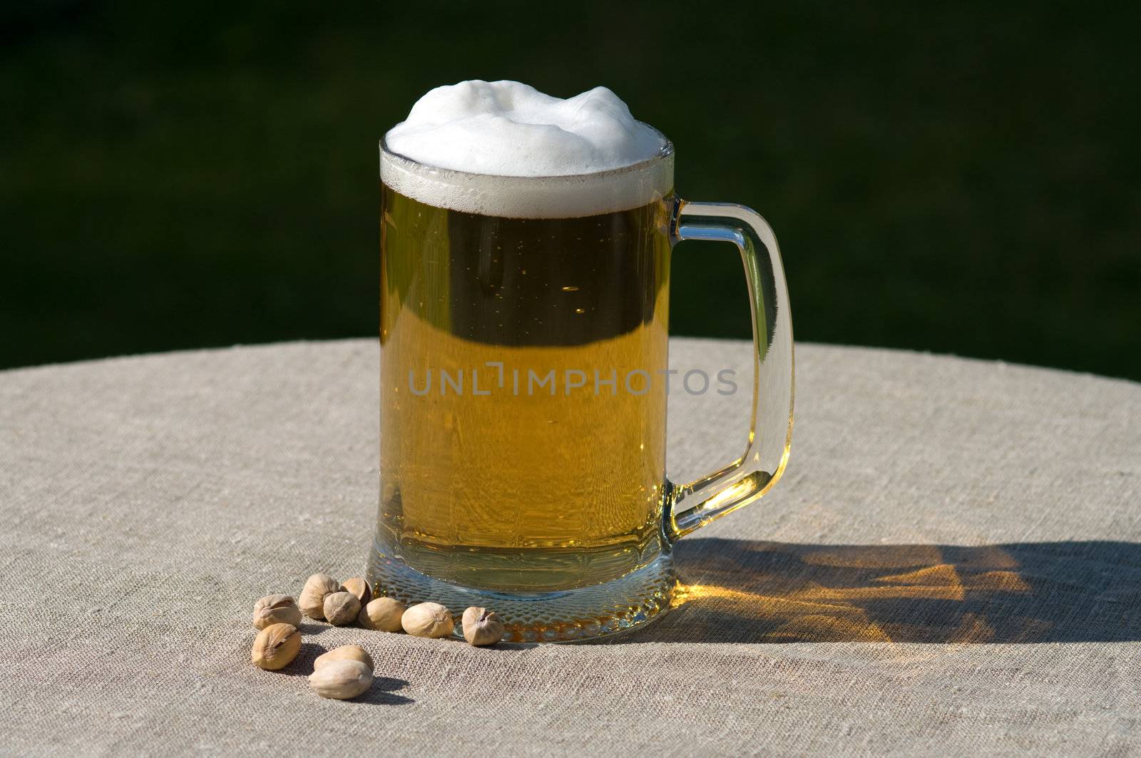 Mug of beer and nuts. by kromeshnik