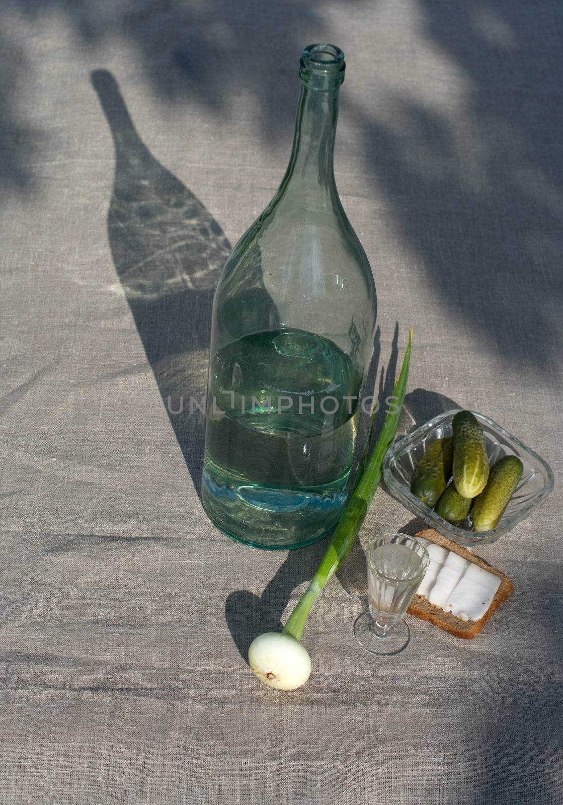 Vodka bottle, wine-glass, sandwich with fat, a bulb and the pickles, typical components of Russian feast.