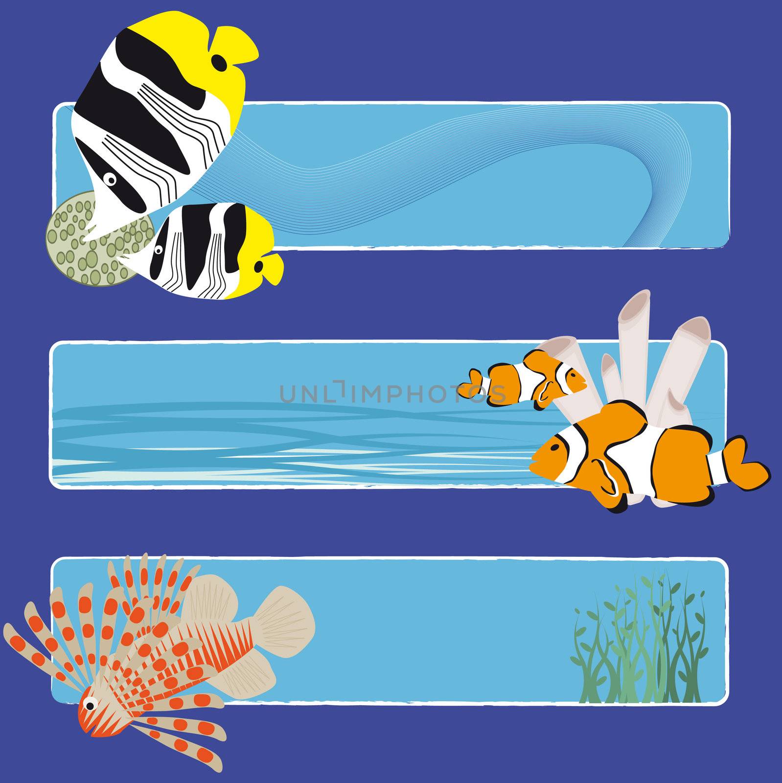 three tropical fish banners no text indicate sea world creatures
