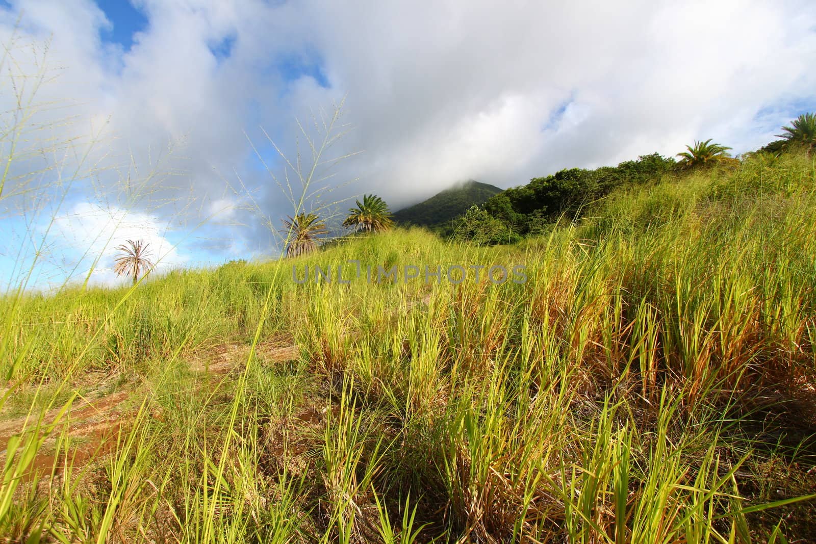 Mount Liamuiga in Saint Kitts by Wirepec