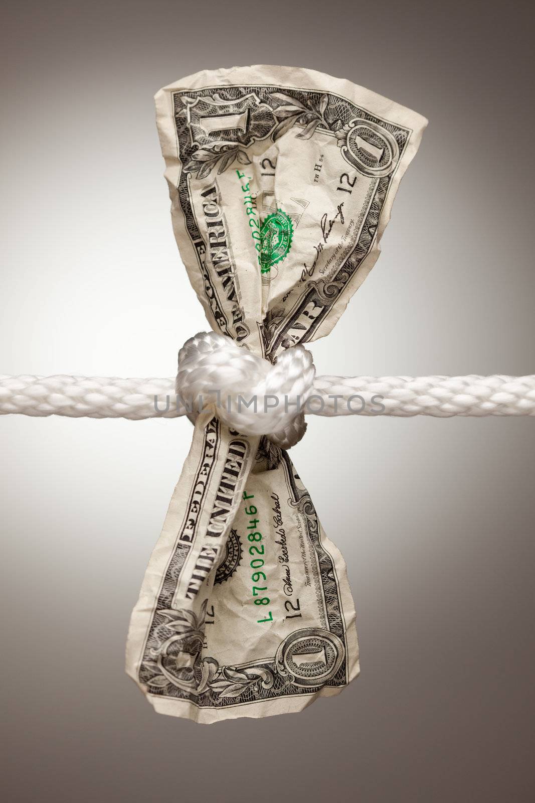 American Dollar Tied in Rope by Feverpitched