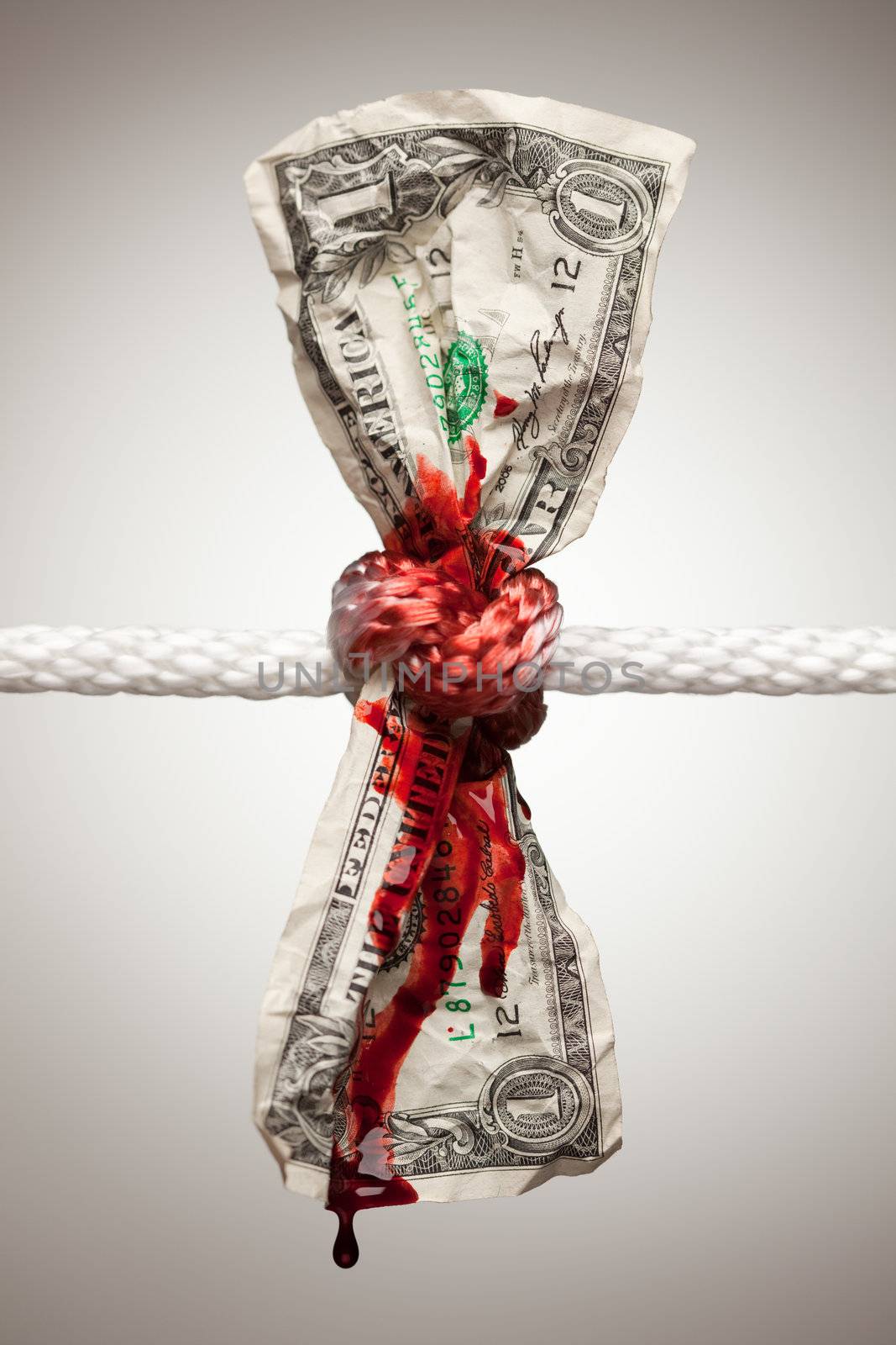 Wrinkled American Dollar Bleeding in Rope by Feverpitched