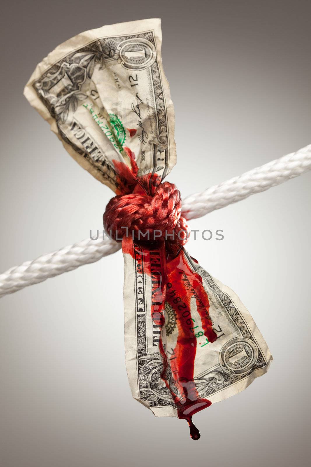 Wrinkled American Dollar Bleeding in Rope by Feverpitched