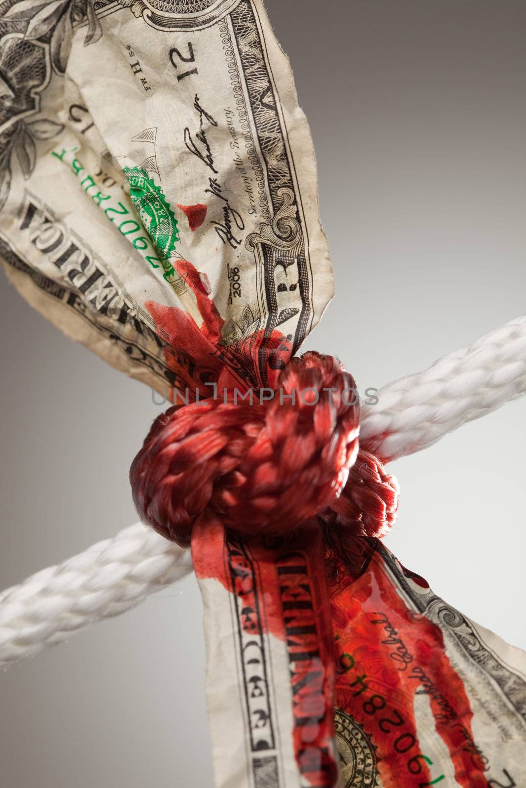 Wrinkled American Dollar Bleeding in Rope by Feverpitched