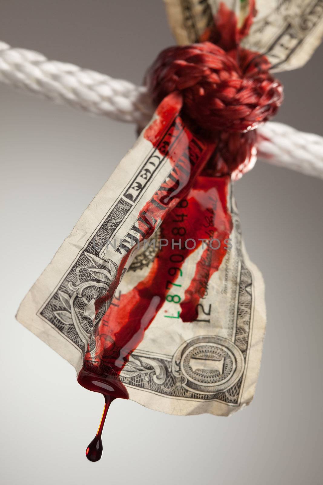 Wrinkled American Dollar Bleeding in Rope by Feverpitched