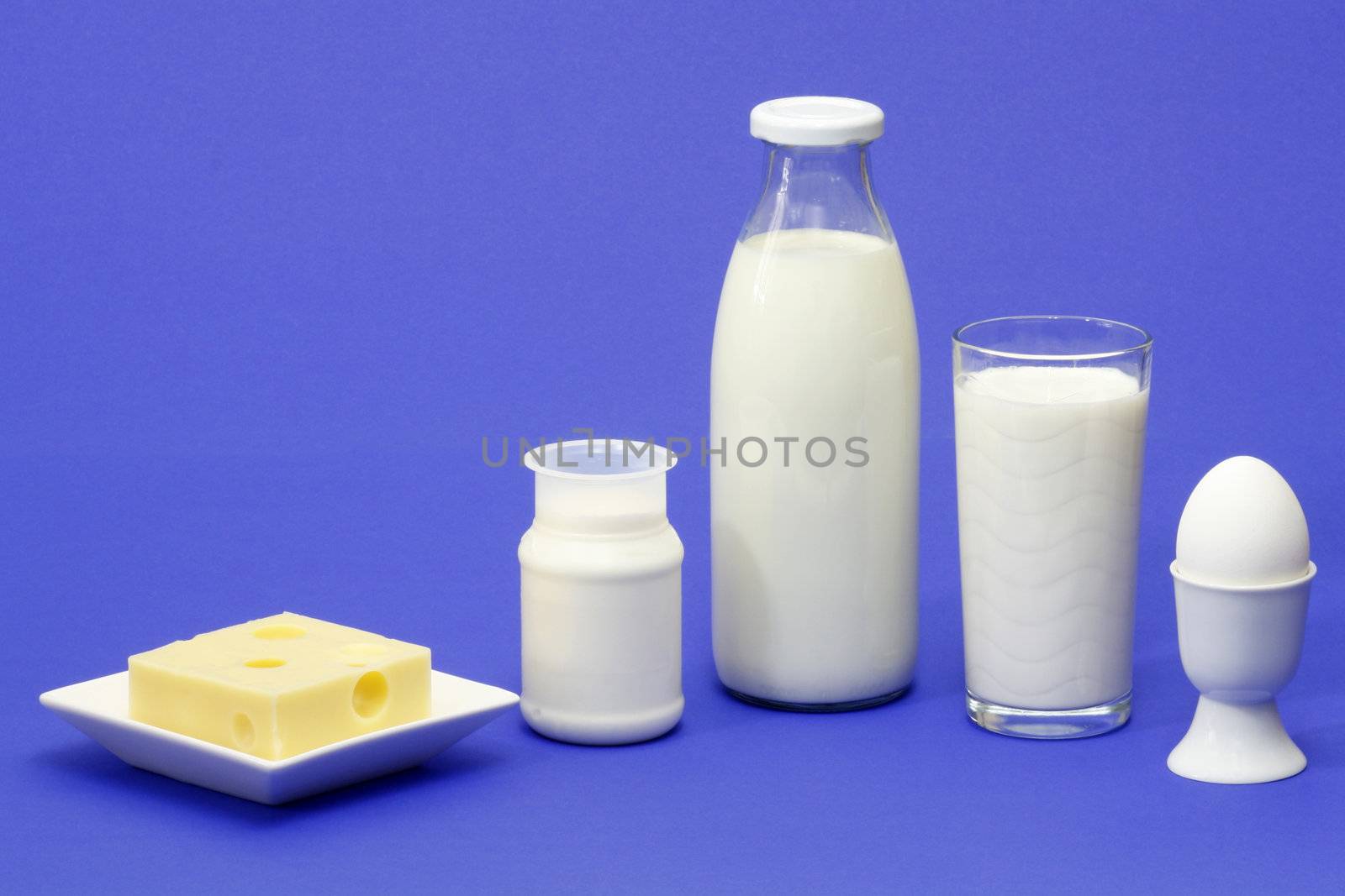 Fresh milk, yogurt, cheese and egg over blue background