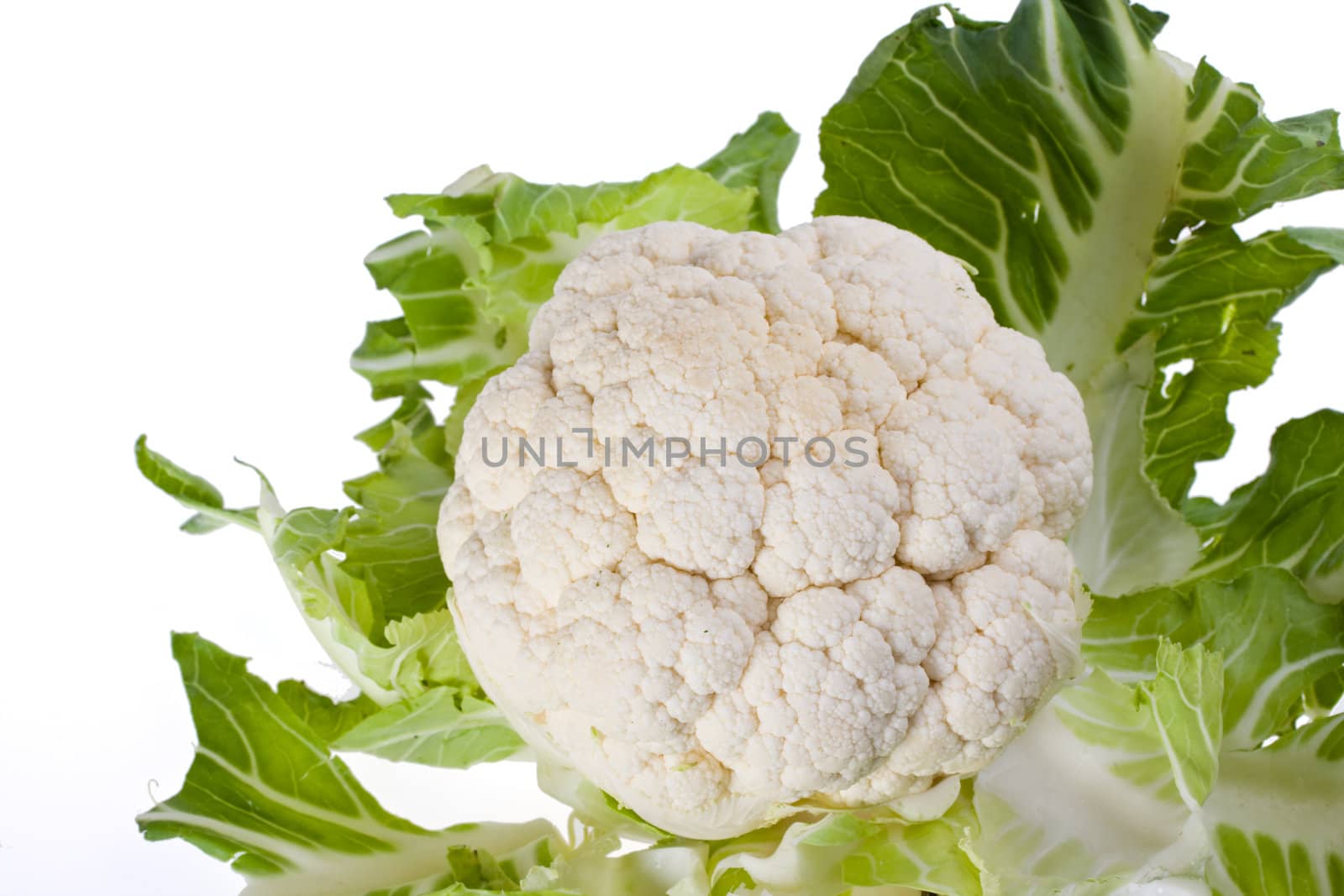 single cauliflower vegetable isolated on white