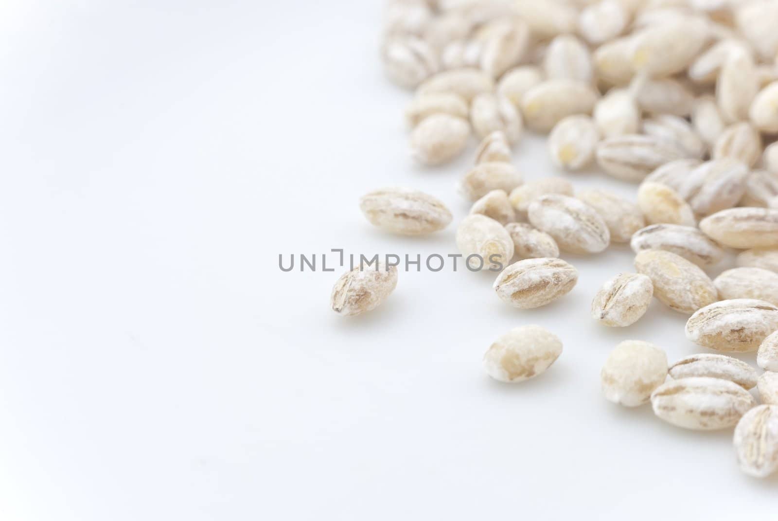 Close-up (macro) of barley grains scattered to the right side of frame, with white copy space to the left.