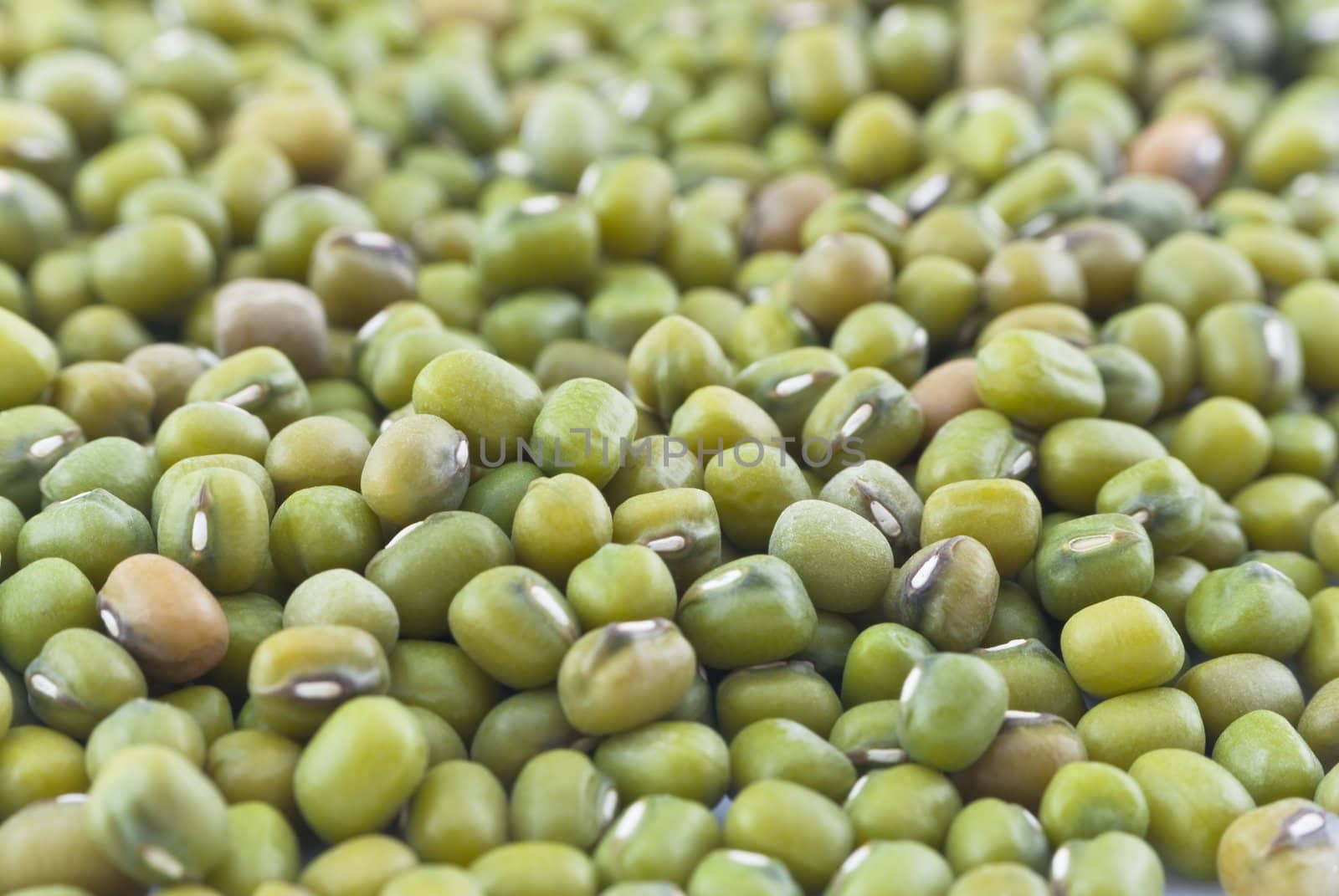 Macro (close-up) of green mung beans filling whole frame.