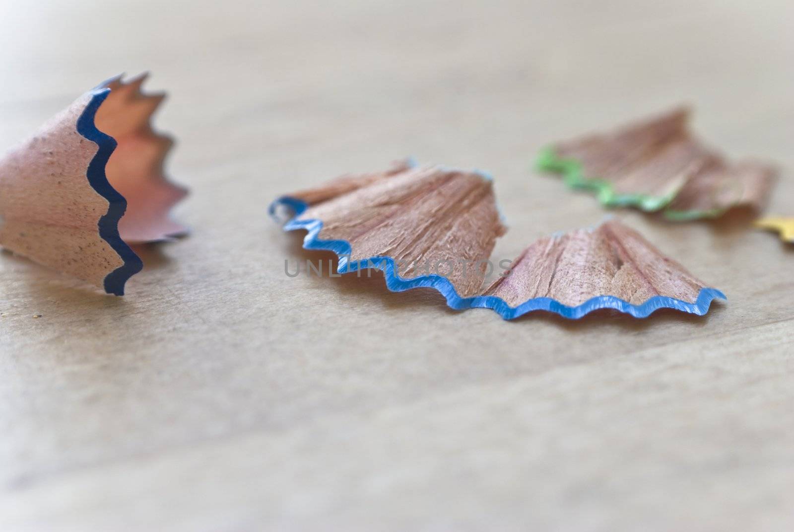 Macro (close-up) of coloured wooden shavings from sharpened art pencils, scattered on a birch table in natural daylight.