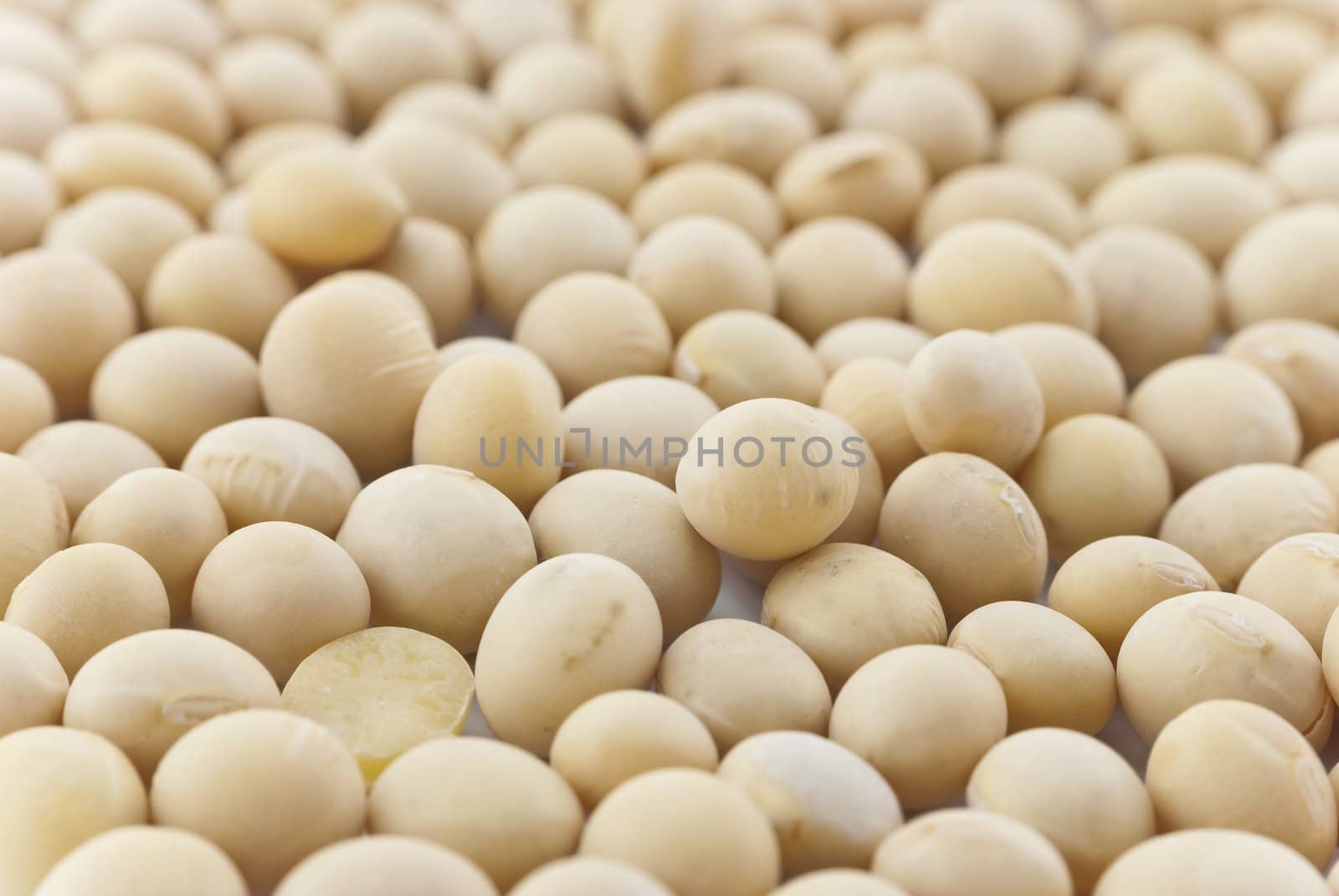 Macro (close-up) of soya beans filling whole frame.