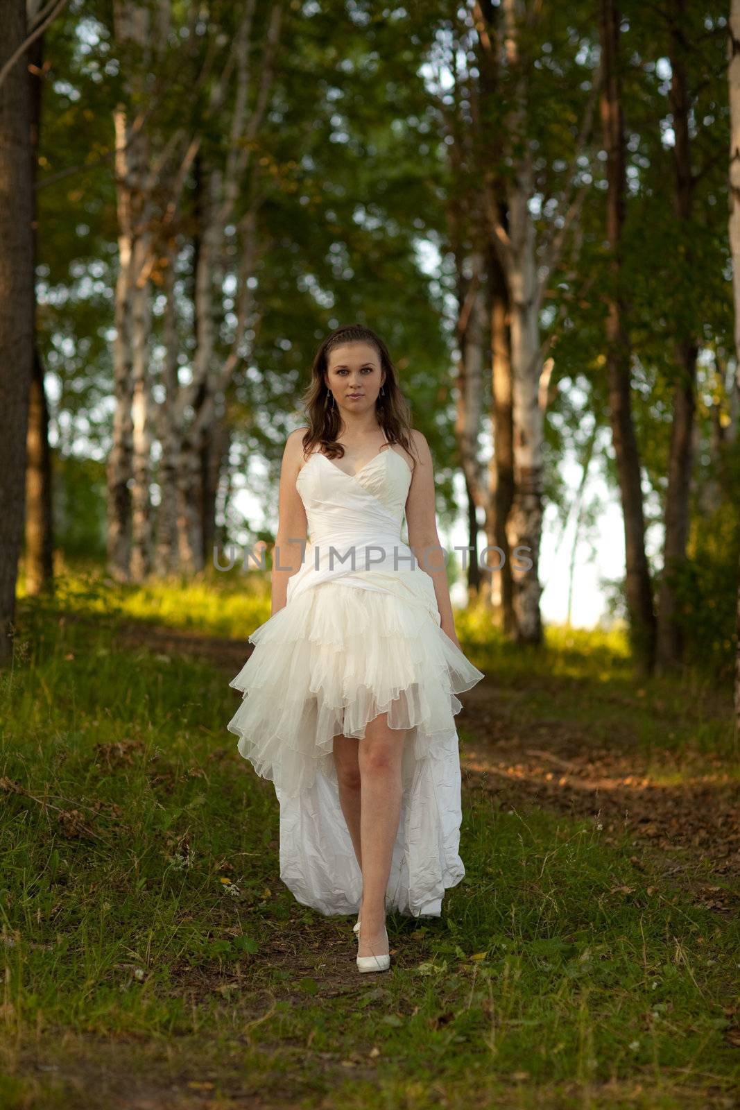 bride in white dress on the nature