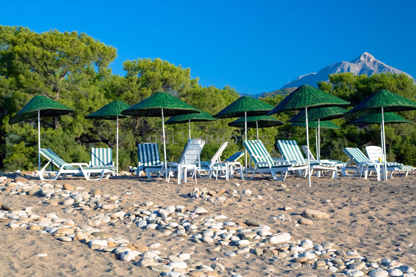 Green tropic parasols with stripy beach chairs and mountain in backdrop