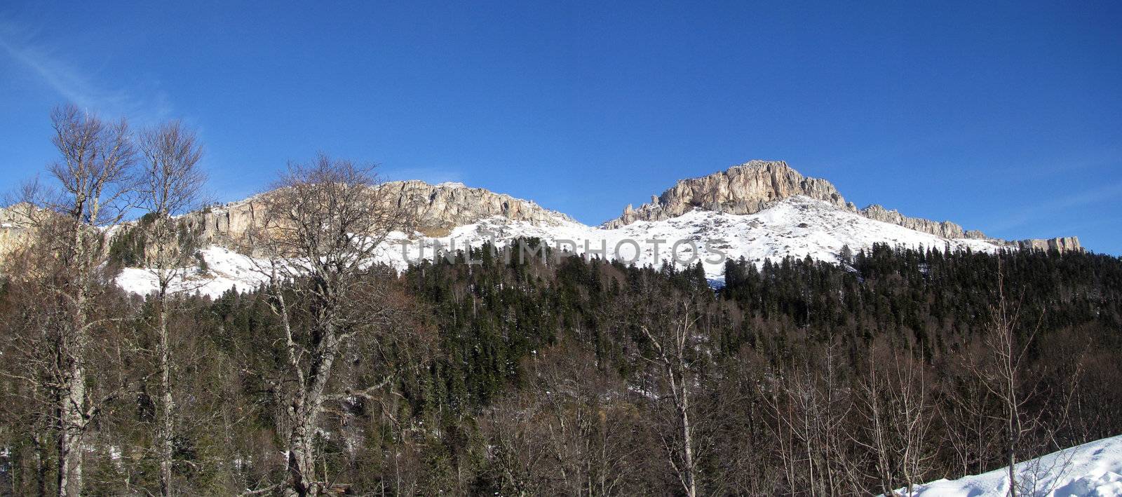 The main Caucasian ridge; rocks; a relief; a landscape; a hill; a panorama; high mountains; peaks; caucasus; top