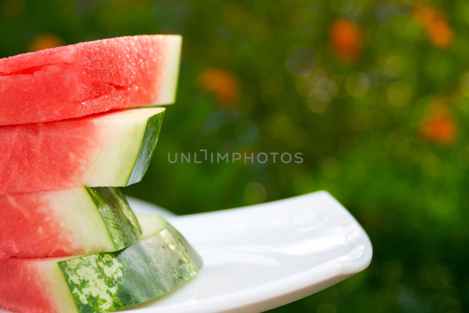  Fresh slices of watermelon. by Bedolaga