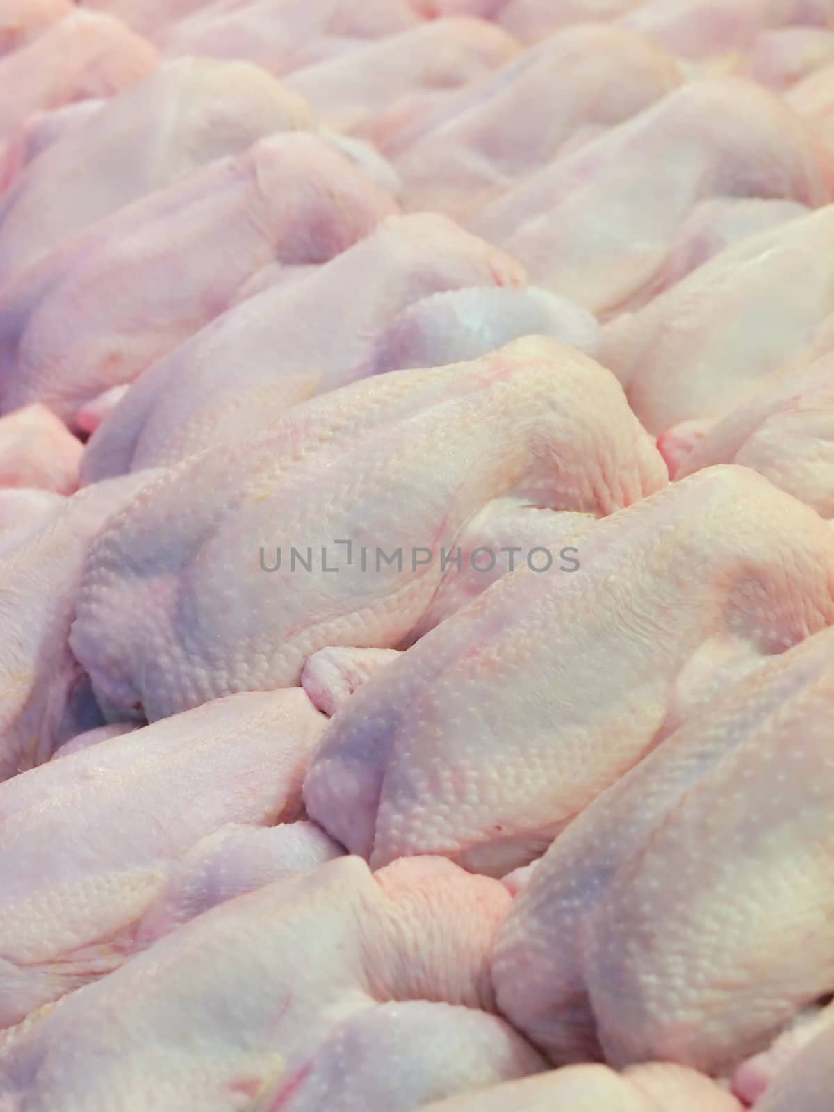 close up of raw fresh chicken