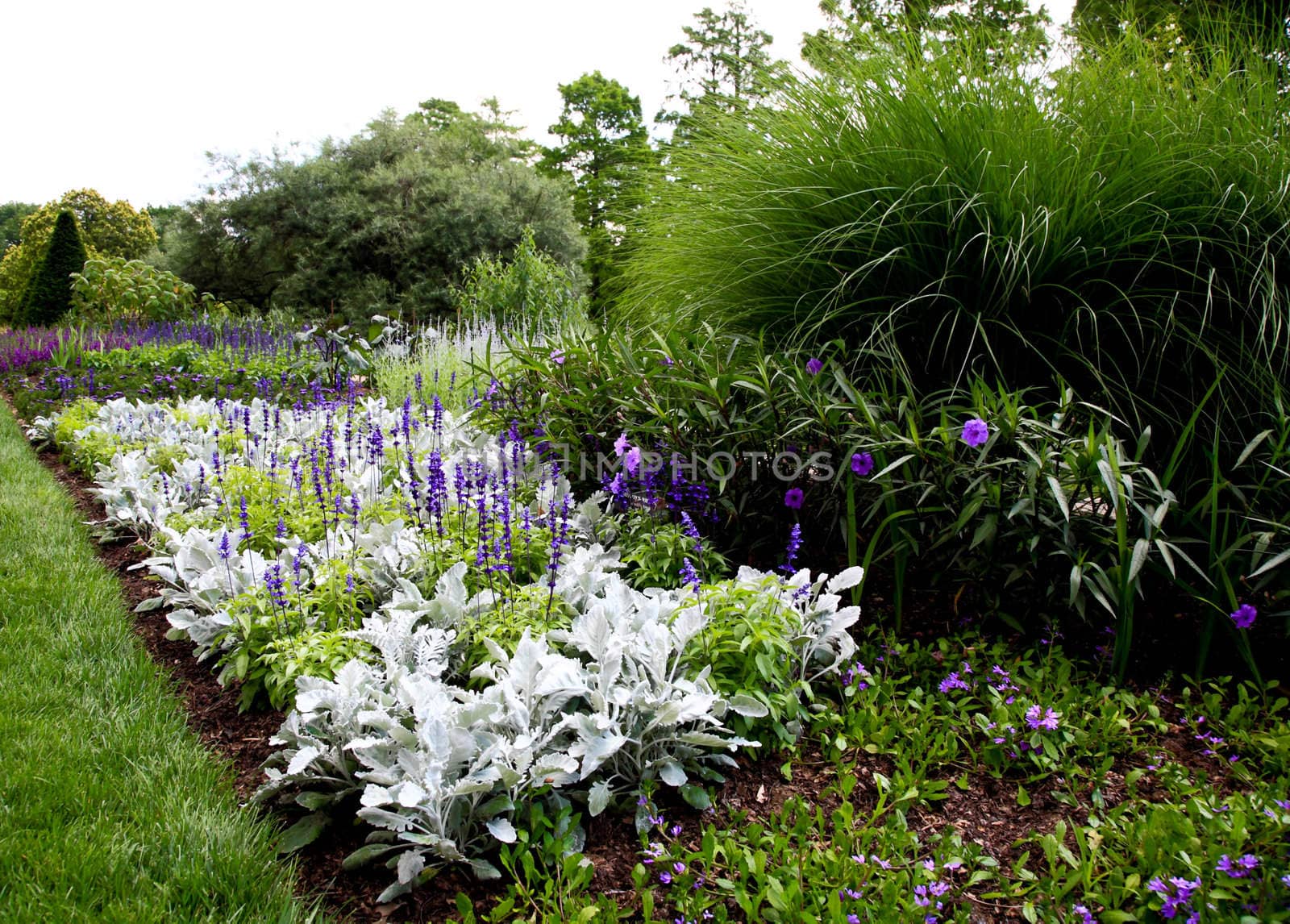 flowers displayed in a botanical garden by gary718