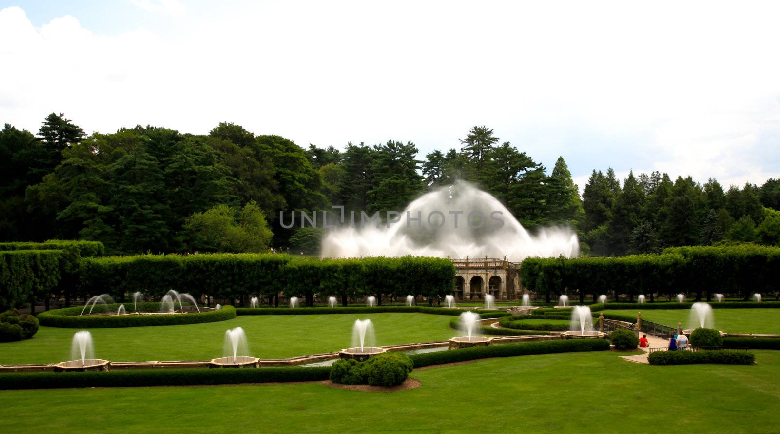 A fountain show in a botanical garden USA