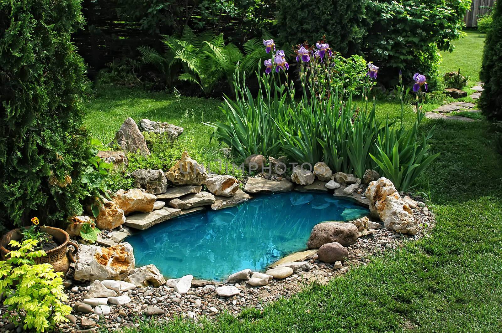 small pond on a summer day in the garden