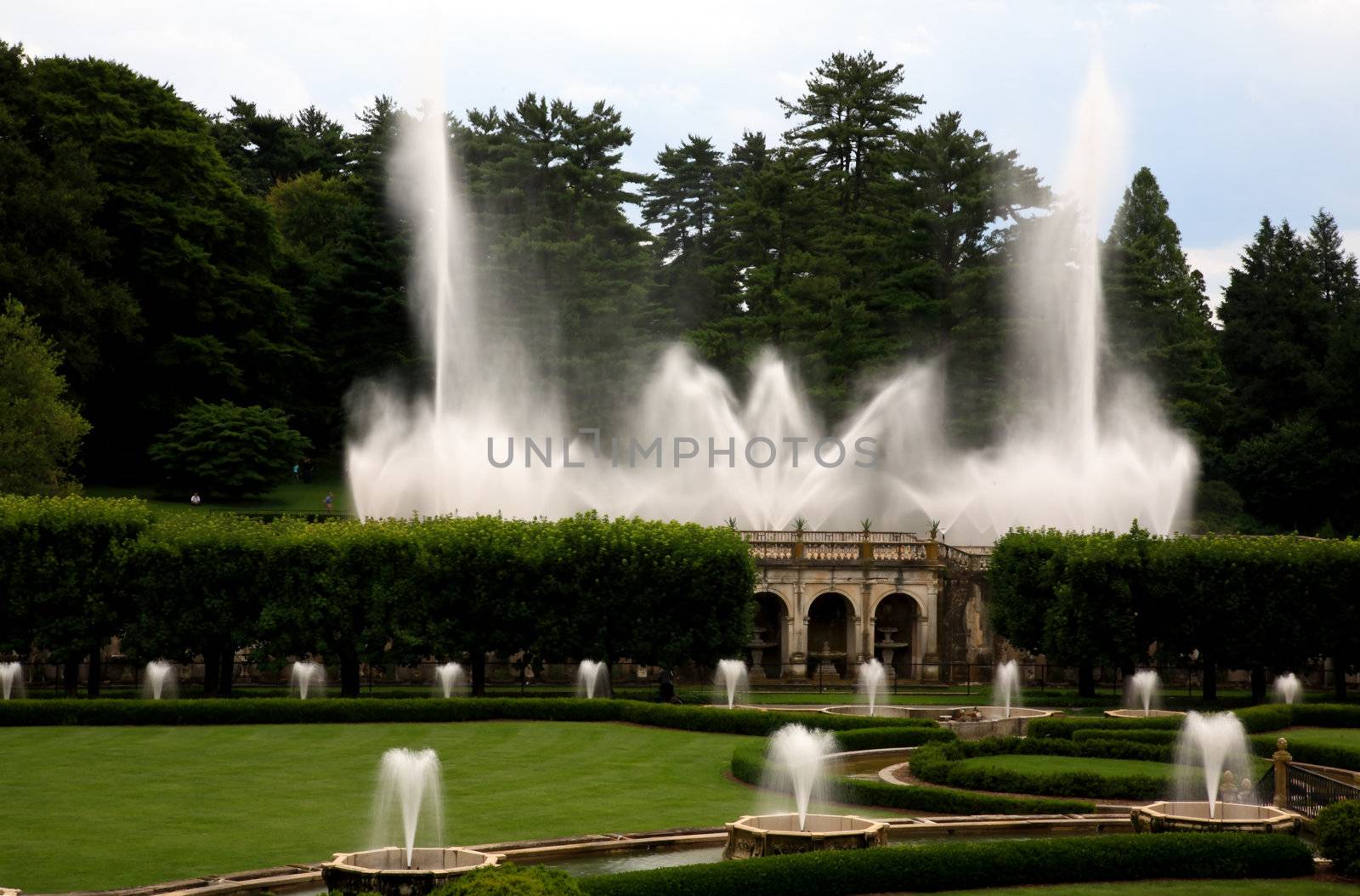 A fountain show in a botanical garden USA