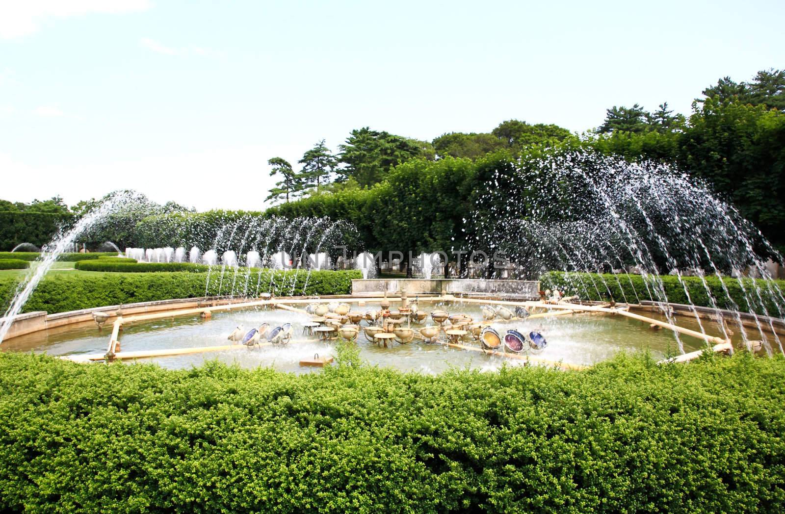 A fountain show in a botanical garden USA