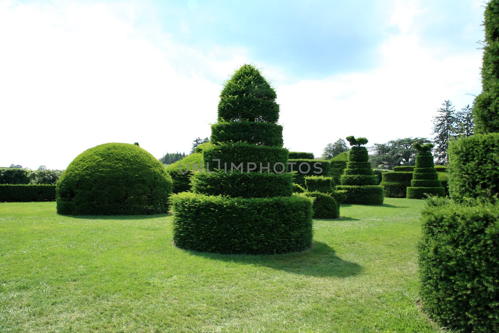 A landscape display in a botanical garden USA