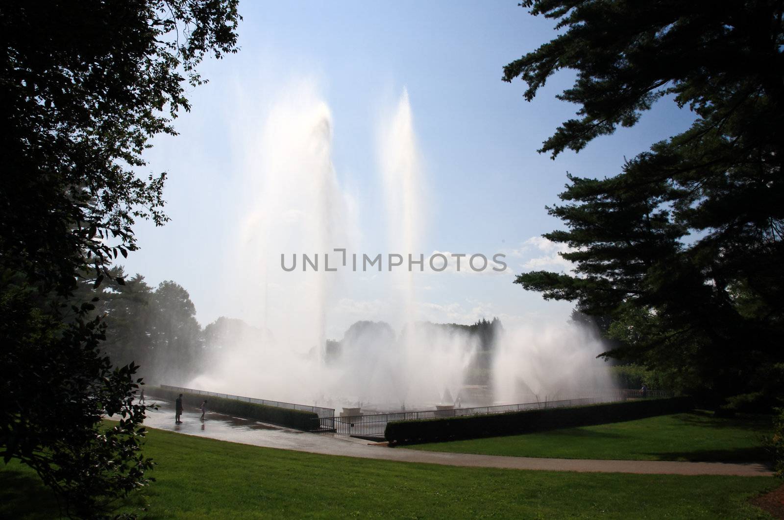 A fountain show in a botanical garden USA