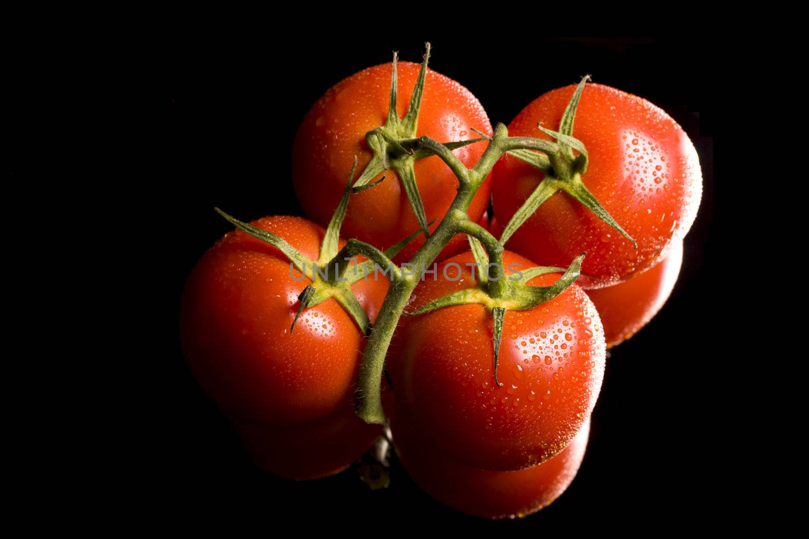 tomatoes by bernjuer