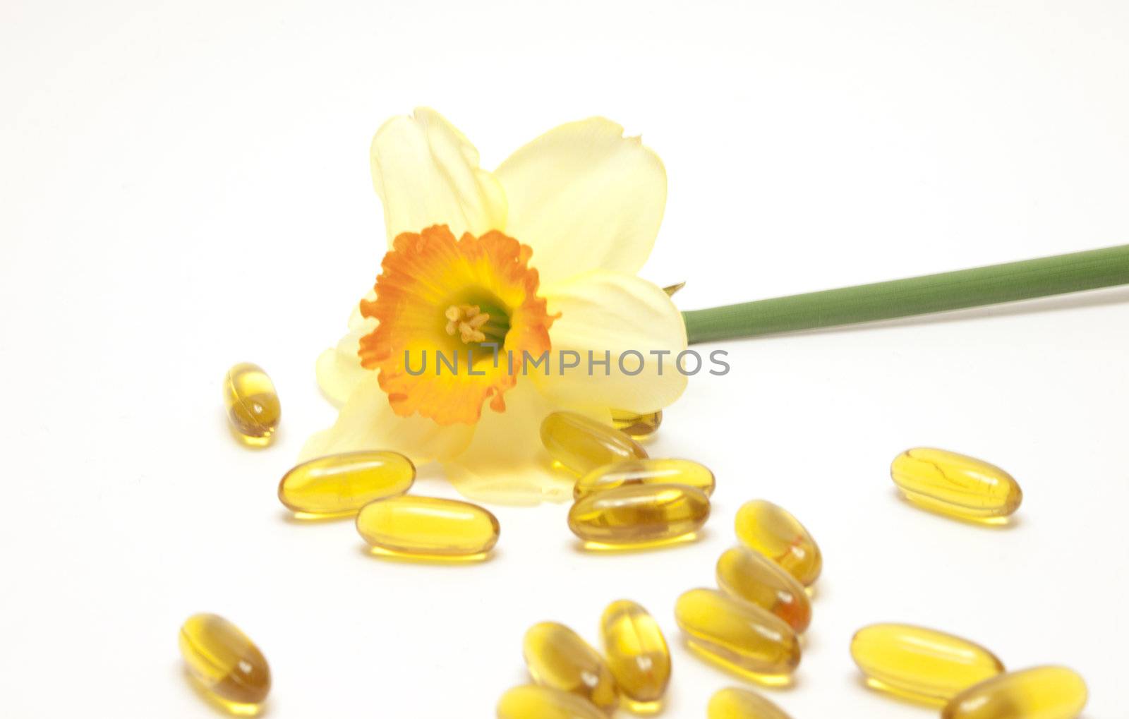 Narcissus and yellow pills over white background