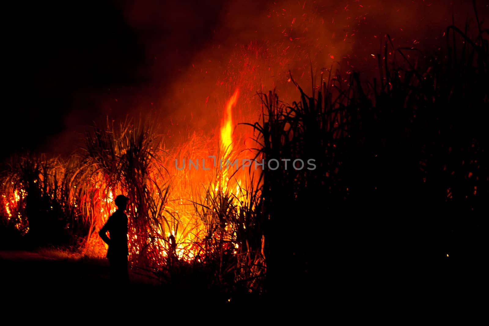 Big fire on the farmland