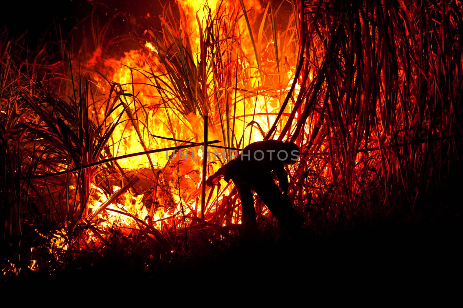 Big fire on the farmland