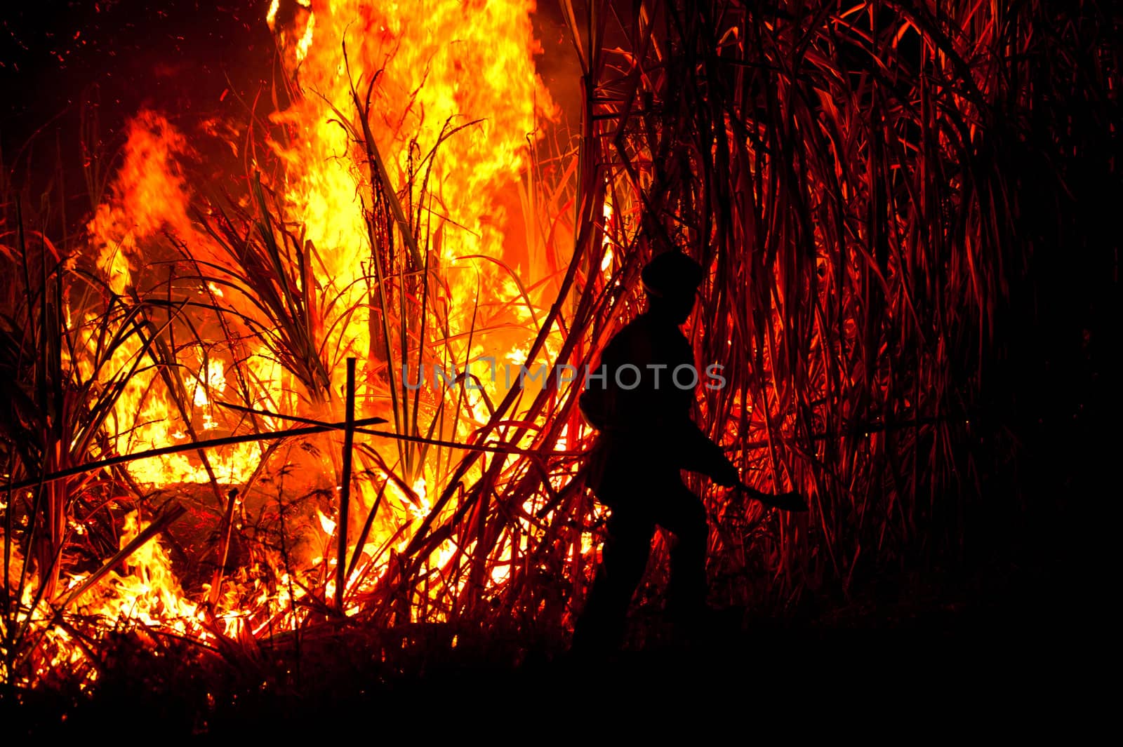 Big fire on the farmland by p.studio66