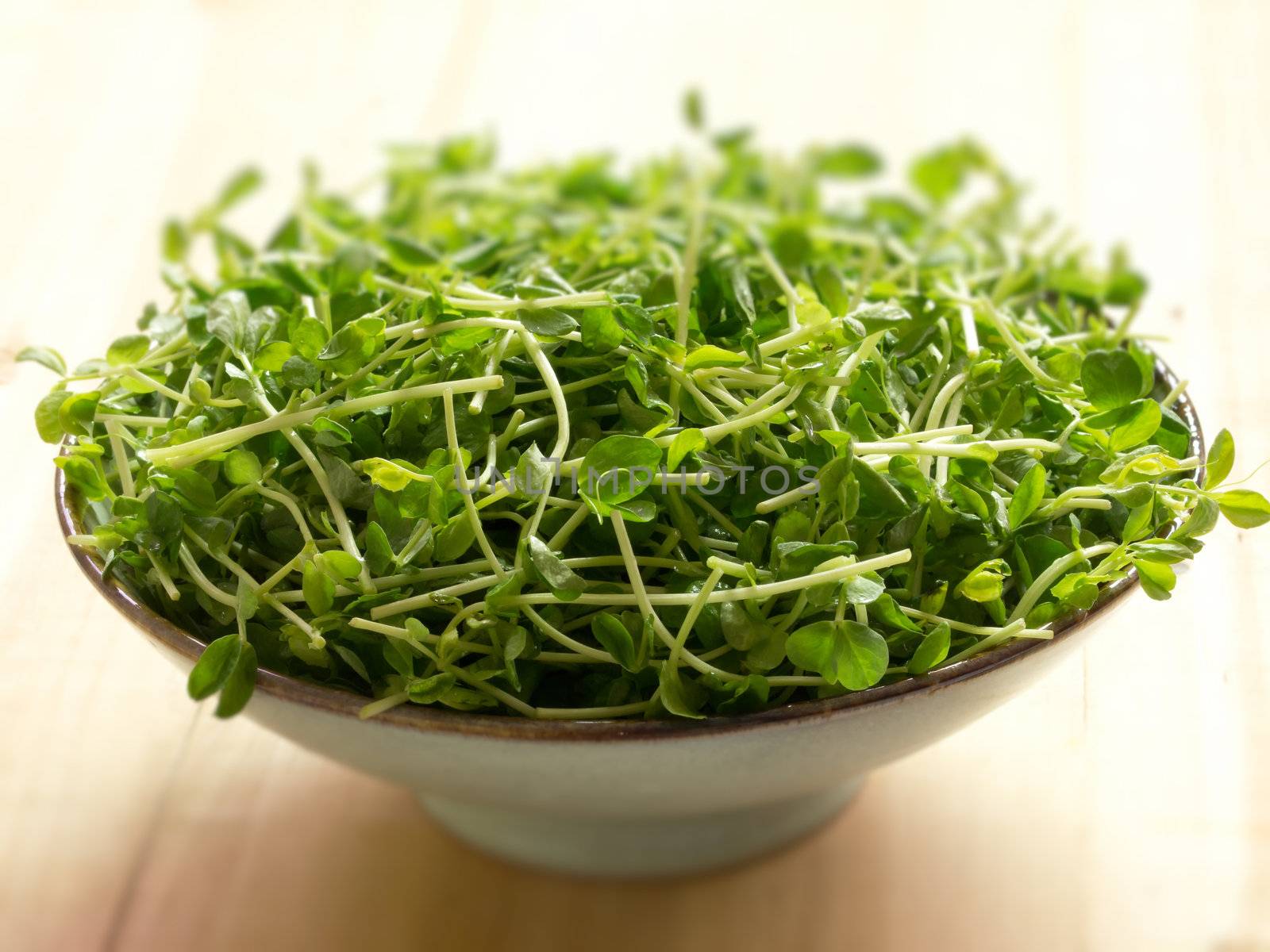 close up of  a bowl of snow pea shoots