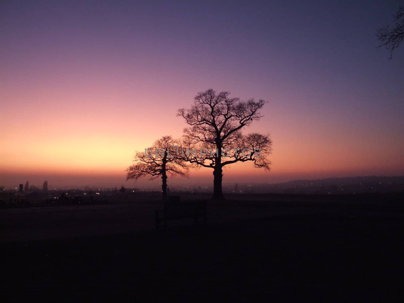 Red Sunset with Two Trees over Looking London