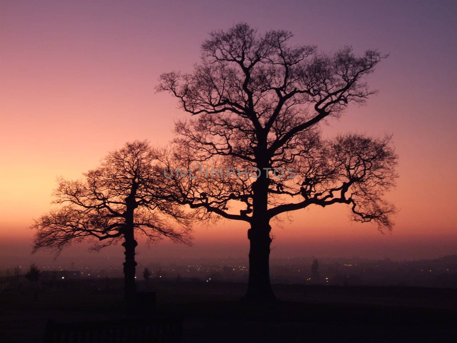 Red Sunset with Two Trees over Looking London